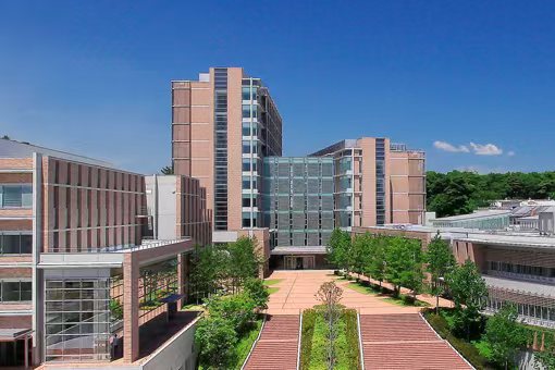 东北医科药科大学